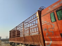 Sinotruk Sitrak G5S 330 hp 6X2 9.8 m - ფოტო 2