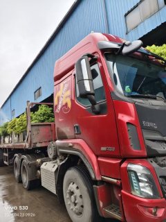 Dongfeng Liuzhou Chenglong H5 460 hp 6X4 - ფოტო 5