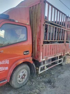 Dongfeng Duolika Dollicar D6 102 hp 4X2 4.17 m - ფოტო 1