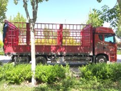 FAW Jiefang JH6 320 hp 4X2 6.75 m - ფოტო 3