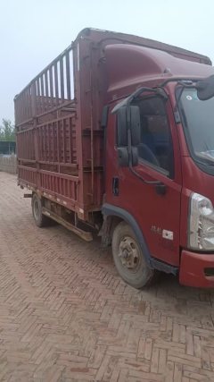 Foton Forland 6 143 hp 4X2 4.2 m - ფოტო 2