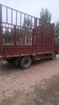 Foton Forland 6 143 hp 4X2 4.2 m - ფოტო 5