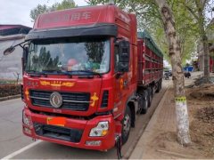 Dongfeng Tianlong 450 hp 6X4 - ფოტო 1