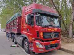 Dongfeng Tianlong 450 hp 6X4 - ფოტო 3