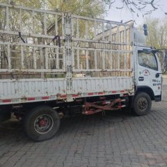 Dongfeng Duolika Dollicar D6 160 hp 4X2 4.2 m - ფოტო 3