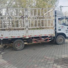 Dongfeng Duolika Dollicar D6 160 hp 4X2 4.2 m - ფოტო 4