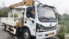 Dongfeng Furuika F7 - ფოტო 3