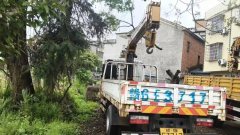 crane truck Dongfeng - photo 4