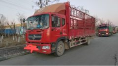 Dongfeng Duolika D9 170 hp 4X2 6.8 m - ფოტო 3