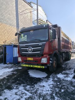 Foton Auman GTL 460 hp 8X4 8 m - photo 1