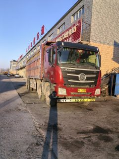 Foton Auman GTL 460 hp 8X4 8 m - photo 2