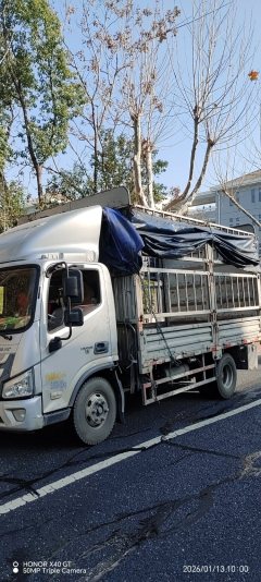 Foton Aumark S3 143 hp 4X2 4.18 m - ფოტო 3