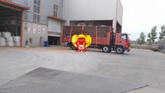 Foton Rowor ES5 220 hp 6X2 7.4 m - photo 1