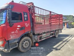 Dongfeng Tianjin KR 245 hp 4X2 6.8 m - ფოტო 1