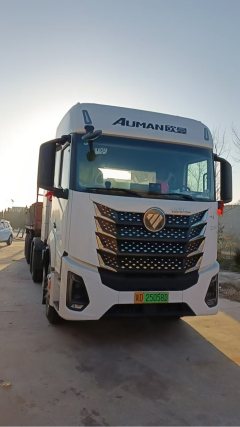 Foton Auman GTL Xingyi Edition 6X4 - фото 1