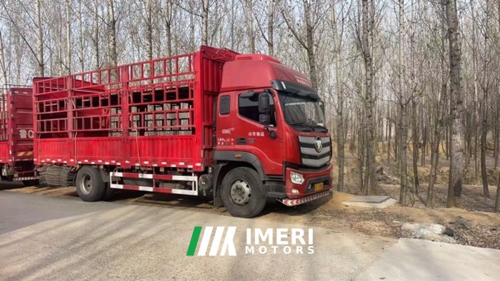 Foton R 210 hp 4X2 6.8 m - truck from China