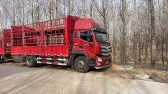 Foton R 210 hp 4X2 6.8 m - photo 1
