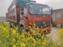 Foton Rowor ES5 220 hp 6X2 7.4 m - фото 3