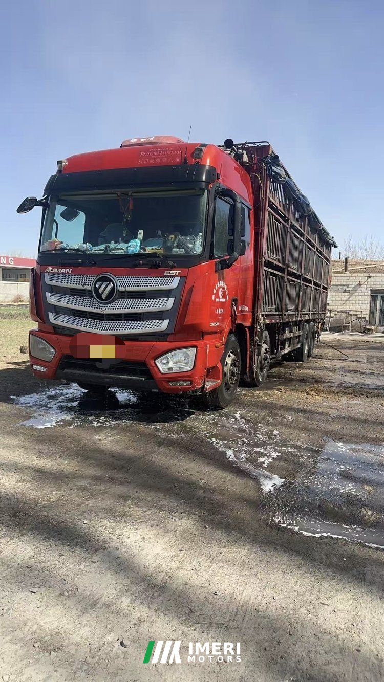Foton Auman EST 510 hp 8X4 9.53 m - სატვირთო ჩინეთიდან