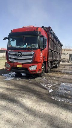 Foton Auman EST 510 hp 8X4 9.53 m - ფოტო 1