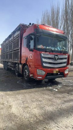 Foton Auman EST 510 hp 8X4 9.53 m - ფოტო 2