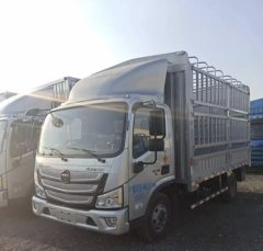 Foton Aumark S1 122 hp 4X2 4.2 m - ფოტო 1