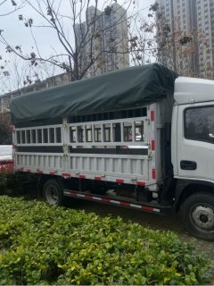 SAIC Yuejin S 123 hp 4X2 3.81 m - ფოტო 2