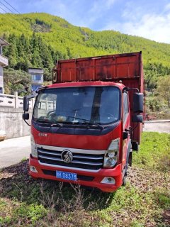 Sinotruk Lion automobile 160 hp 4X2 4.15 m - ფოტო 2