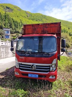 Sinotruk Lion automobile 160 hp 4X2 4.15 m - ფოტო 3