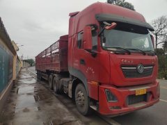 Dongfeng Tianlong KL 560 hp 6X4 - ფოტო 3