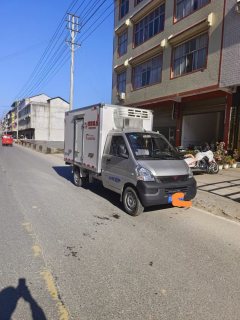 Wuling 102 hp 4X2 2.65 m - фото 2