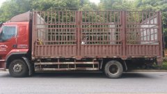 Dongfeng Liuzhou Chenglong H5 220 hp 4X2 6.8 m - ფოტო 3