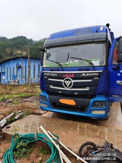 Foton Auman GTL 460 hp 6X4 - фото 2