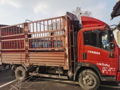 SINOTRUK HOWO Light Duty Truck Royal Faction 160 hp 4X2 4.15 m - ფოტო 2