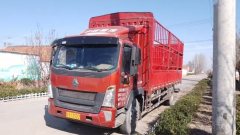 SINOTRUK HOWO Light Duty Truck G5X 220 hp 4X2 6.75 m - ფოტო 1