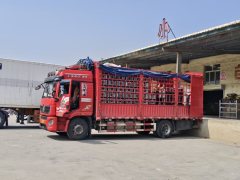 Shacman Delong L5000 300 hp 4X2 - ფოტო 2