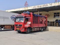 Shacman Delong L5000 300 hp 4X2 - ფოტო 3