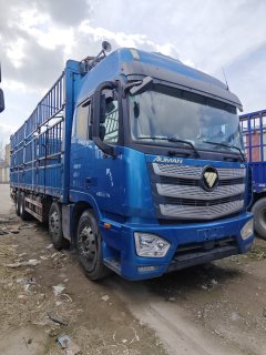 Foton Auman EST 430 hp 8X4 9.45 m - ფოტო 3