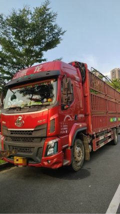 Dongfeng Liuzhou Chenglong H5 240 hp 4X2 6.8 m - photo 1
