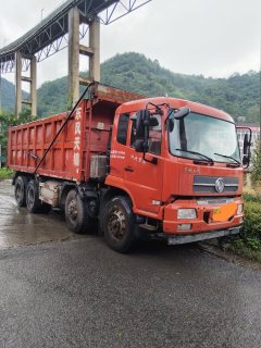 Dongfeng Tianjin 310 hp 8X4 6.2 m - ფოტო 1