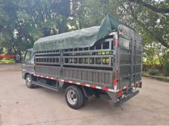 Foton Forland S1 120 hp 4X2 3.94 m - photo 11