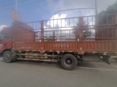 Dongfeng Tianjin KR 230 hp 4X2 6.8 m - ფოტო 3