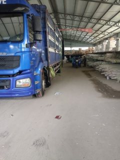Shacman Delong New M3000 300 hp 6X2 9.55 m - ფოტო 7