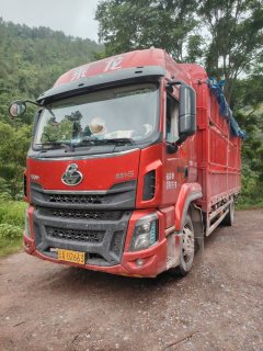 Dongfeng Liuzhou Chenglong H5 260 hp 4X2 6.8 m - ფოტო 1