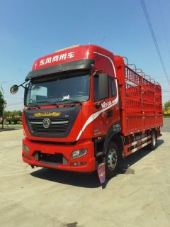 Dongfeng Tianjin KR PLUS 290 hp 4X2 6.2 m - ფოტო 1