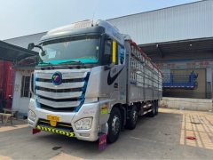 Foton Auman EST 520 hp 8X4 9.56 m - ფოტო 1