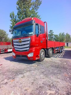 Foton Auman EST 490 hp 8X4 9.53 m - ფოტო 1