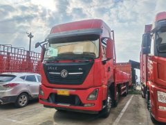 Dongfeng Tianlong KL 465 hp 8X4 9.6 m - ფოტო 1