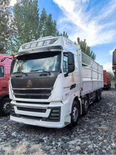 Sinotruk HOWO T7H 460 hp 8X4 9.5 m - ფოტო 1