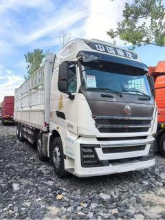 Sinotruk HOWO T7H 460 hp 8X4 9.5 m - ფოტო 2